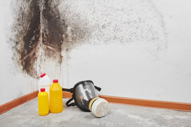 Best Crawl Space Mold Removal  in Gananda, NY