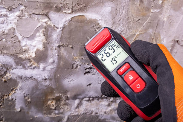 Trusted Gananda, NY Mold Removal Experts