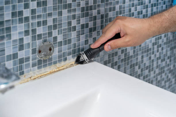 Home Mold Removal in Gananda, NY